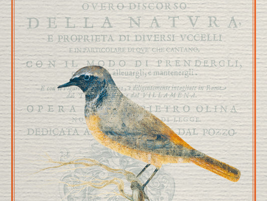 edles Notizbuch mit elegant schimmerndem Kashgar-Leinen und Lesebändchen, Natur, Geschenk, Vogel, Gimpel, Uhu, Gartenrotschwanz