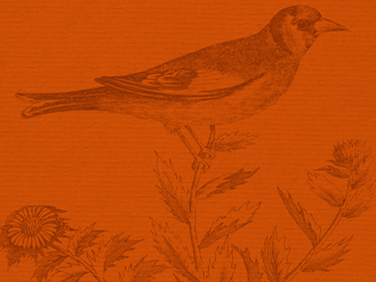 edles Notizbuch mit elegant schimmerndem Kashgar-Leinen und Lesebändchen, Natur, Geschenk, Vogel, Gimpel, Uhu, Gartenrotschwanz