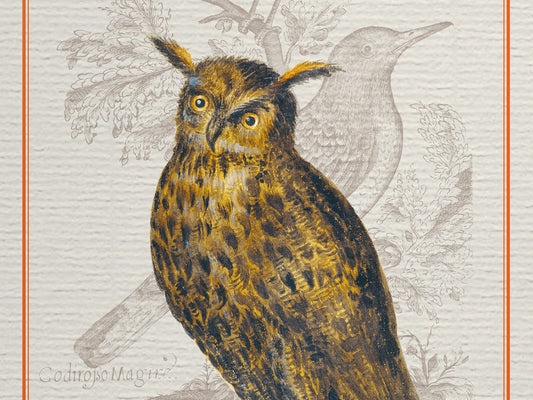 edles Notizbuch mit elegant schimmerndem Kashgar-Leinen und Lesebändchen, Natur, Geschenk, Vogel, Gimpel, Uhu, Gartenrotschwanz