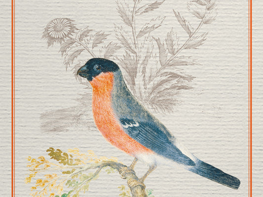 edles Notizbuch mit elegant schimmerndem Kashgar-Leinen und Lesebändchen, Natur, Geschenk, Vogel, Gimpel, Uhu, Gartenrotschwanz