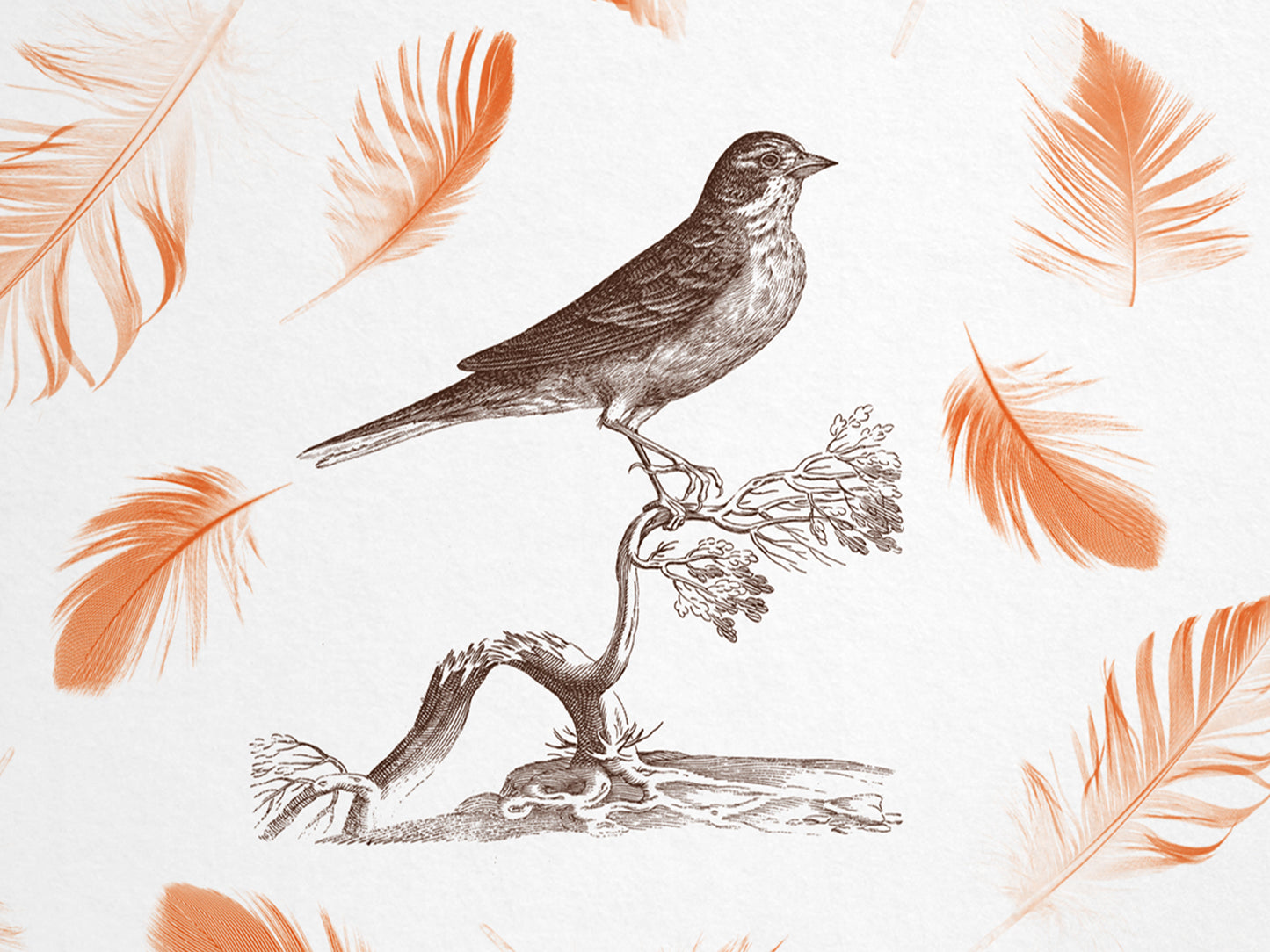 edles Notizbuch mit elegant schimmerndem Kashgar-Leinen und Lesebändchen, Natur, Geschenk, Vogel, orange Federn