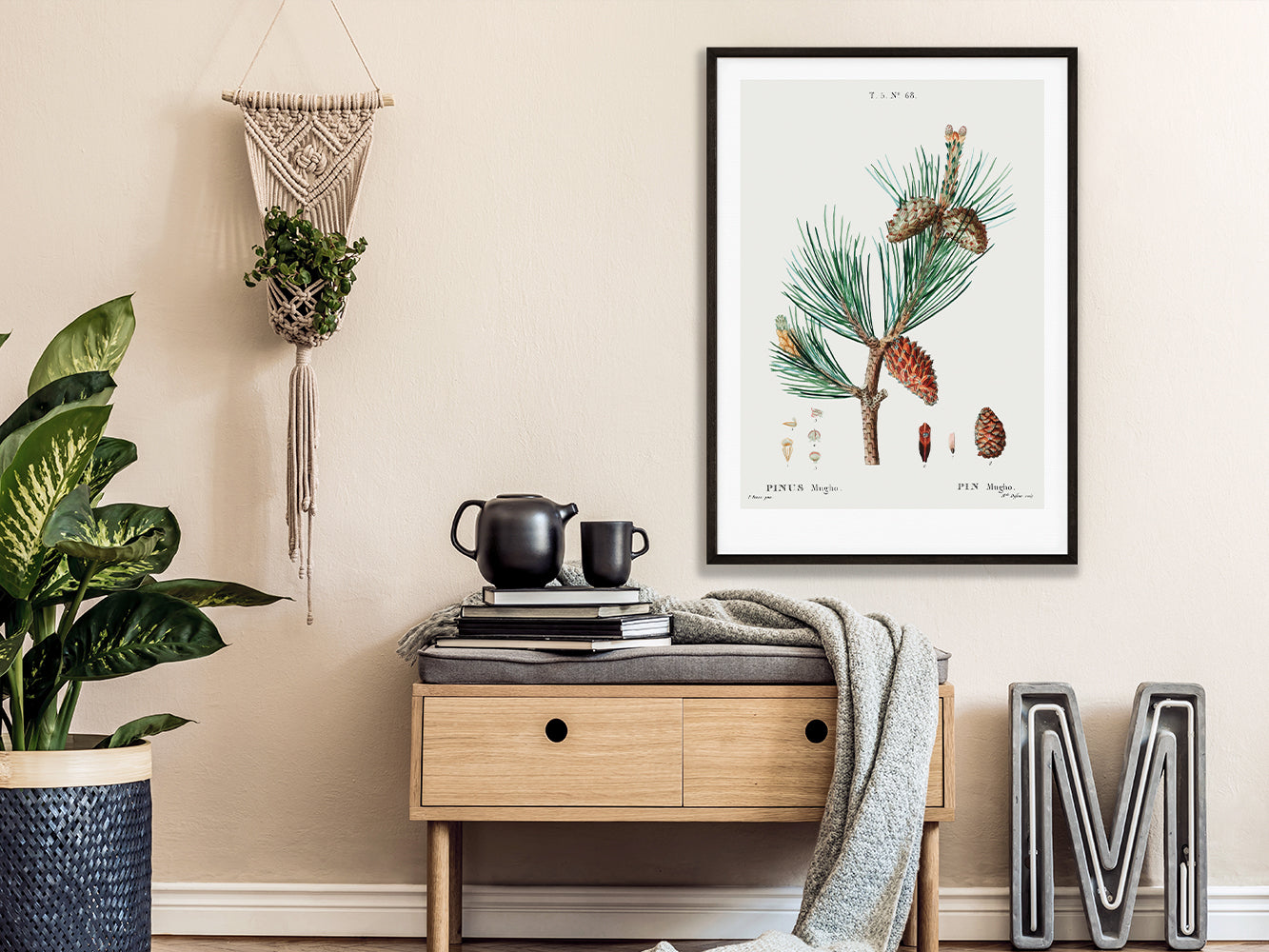 DRUCK ›Tannenzapfen 01‹ / Wanddeko, Art Print, Vintage Illustrationen, Immergrüne Tannenzapfen, Botanische Pflanzen, Winter, Kiefer