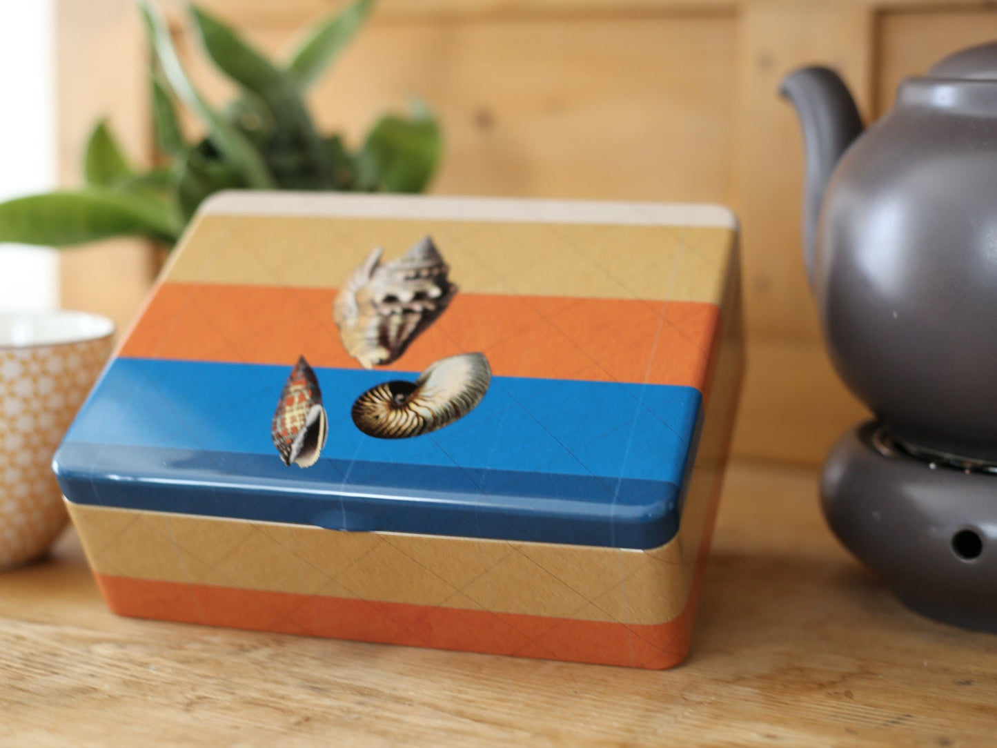 Teedose Muscheln, Metalldose, Reisen, Aufbewahrung, Sammeln