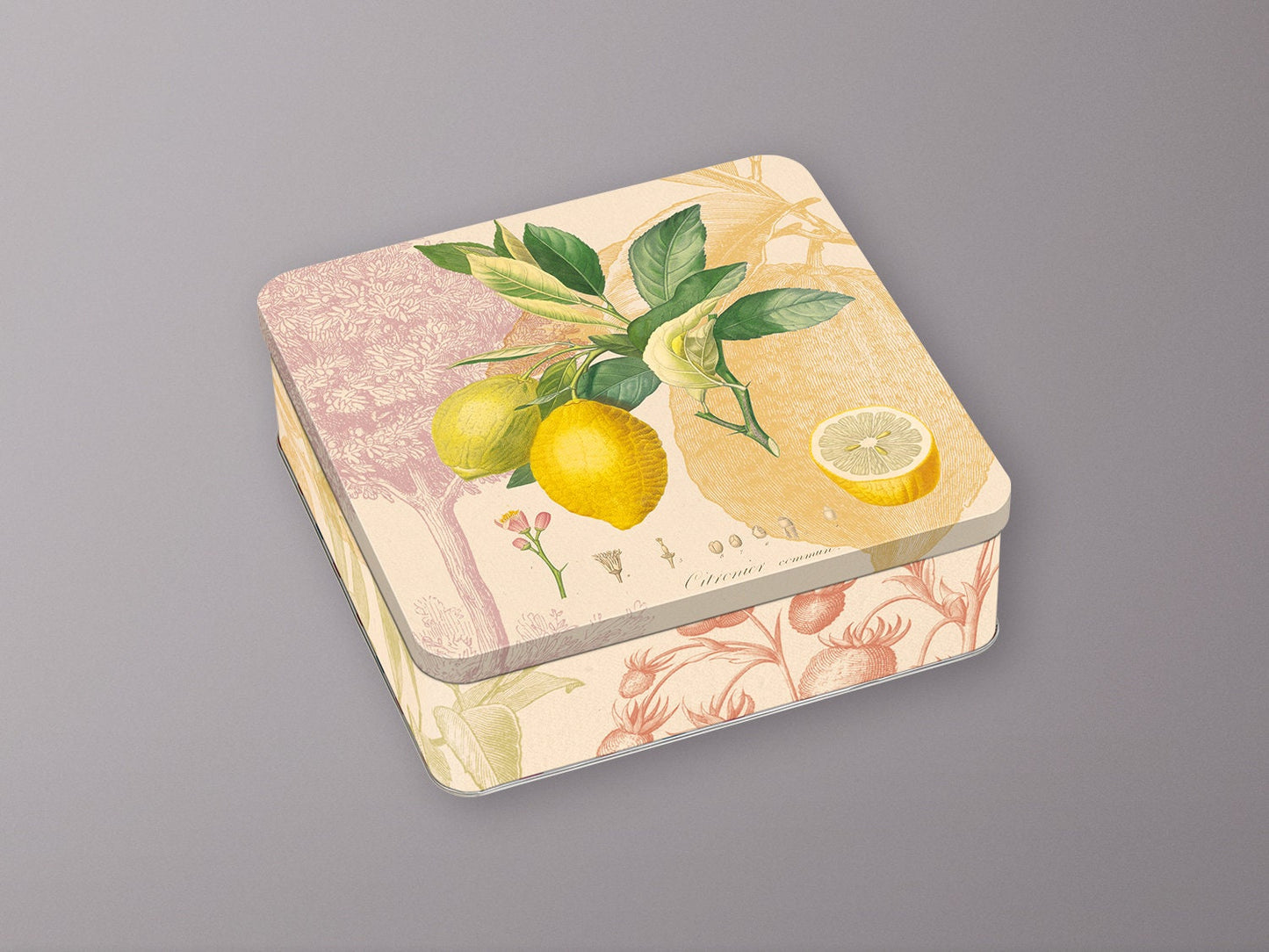Geschenkdose Zitrone, Metalldose, Frucht, Obst, Sammeln, edel