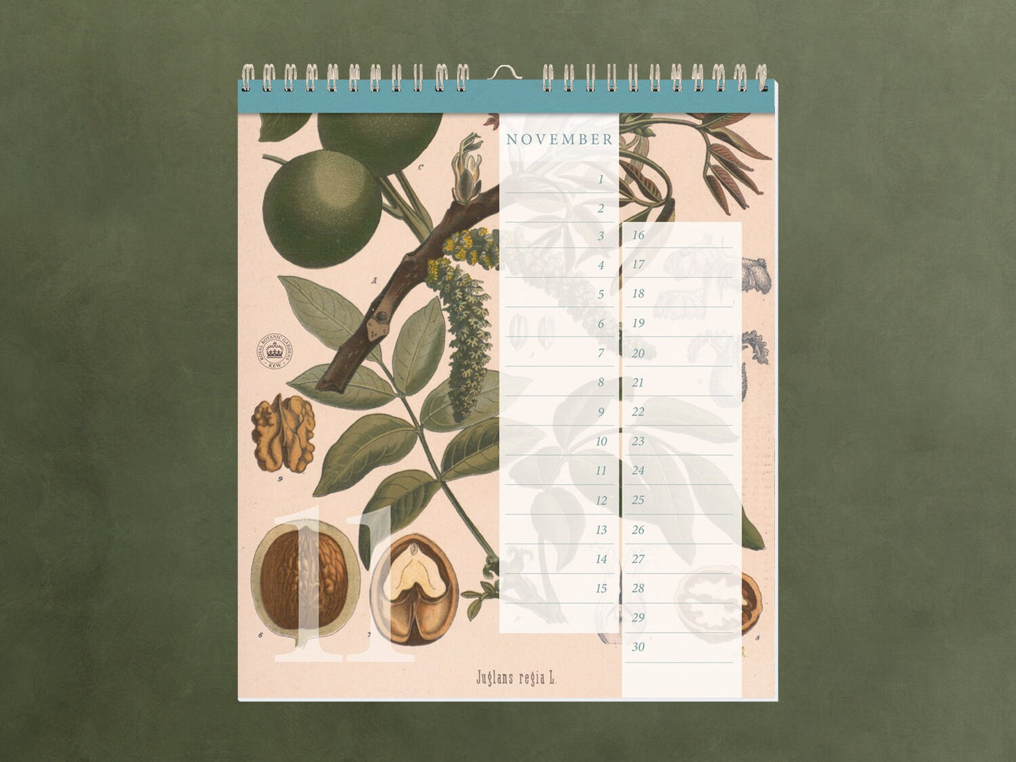 edler Geburtstagskalender ›Kew Gardens‹, immerwährender Kalender, Geburtstage, Natur, Illustrationen, Pflanzen, Garten, Organizer, Geschenk